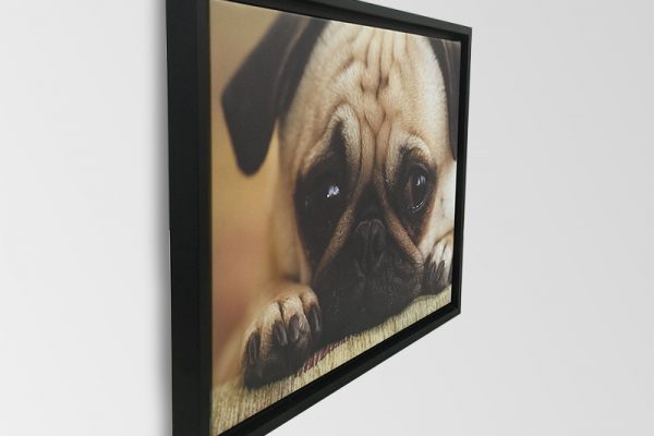 framed-canvas-hung-600x400